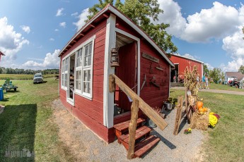 Tompkins-Freedom-Festival-109