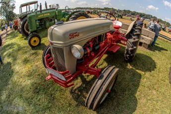 Tompkins-Freedom-Festival-24