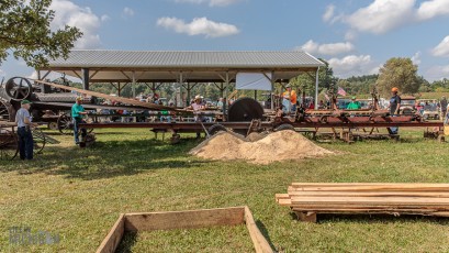 Tompkins-Freedom-Festival-32