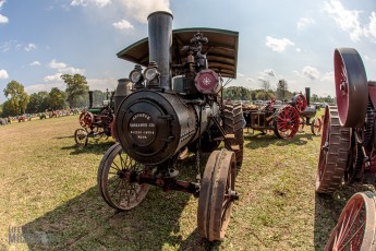 Tompkins-Freedom-Festival-44