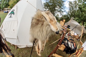 Tompkins-Freedom-Festival-61