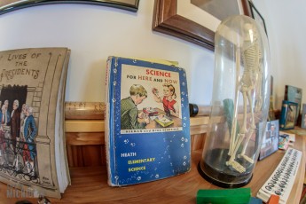 Tompkins-Freedom-Festival-80