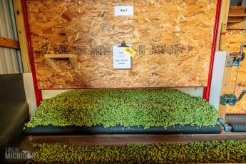 TopHopsFarm-Harvest-2023-1