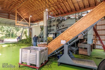 TopHopsFarm-Harvest-2023-12