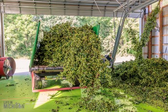 Top Hops Farm - Harvest - 2023