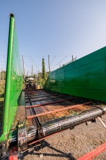 TopHopsFarm-Harvest-2023-15