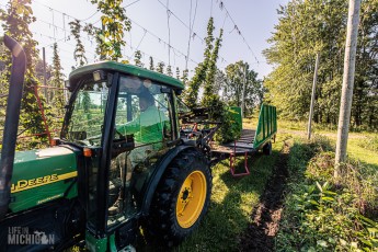 TopHopsFarm-Harvest-2023-18