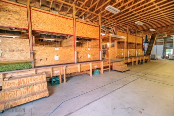 TopHopsFarm-Harvest-2023-2