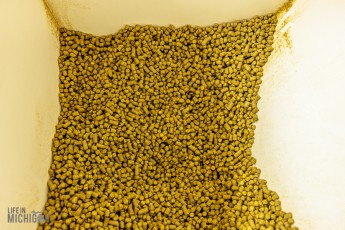 TopHopsFarm-Harvest-2023-34