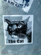 1_Travel-Ideas-North-Island-New-Zealand-87