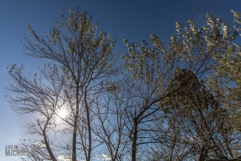 Travel-Ideas-North-Island-New-Zealand-19