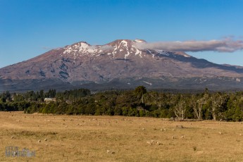 Travel-Ideas-North-Island-New-Zealand-20