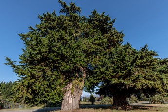 Travel-Ideas-North-Island-New-Zealand-25