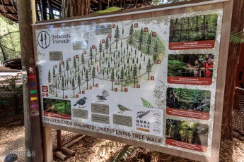 Travel-Ideas-North-Island-New-Zealand-31