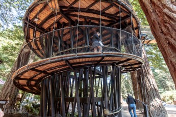 Travel-Ideas-North-Island-New-Zealand-33