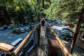 Travel-Ideas-North-Island-New-Zealand-34
