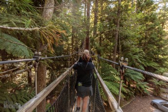 Travel-Ideas-North-Island-New-Zealand-35