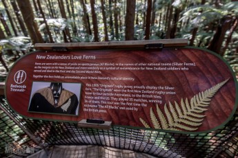 Travel-Ideas-North-Island-New-Zealand-44