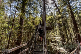 Travel-Ideas-North-Island-New-Zealand-46