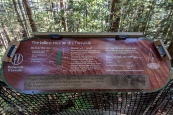 Travel-Ideas-North-Island-New-Zealand-47