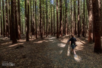 Travel-Ideas-North-Island-New-Zealand-51