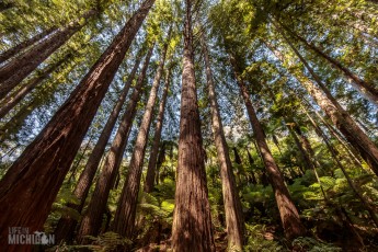 Travel Ideas on the North Island -New Zealand