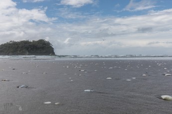 Travel-Ideas-North-Island-New-Zealand-61