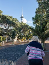 Travel-Ideas-North-Island-New-Zealand-64