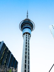 Travel-Ideas-North-Island-New-Zealand-65