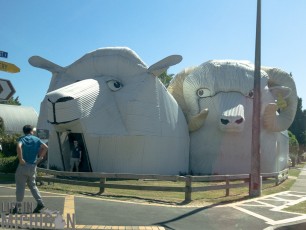 Travel-Ideas-North-Island-New-Zealand-66
