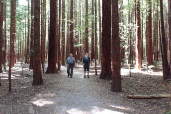 Travel-Ideas-North-Island-New-Zealand-77