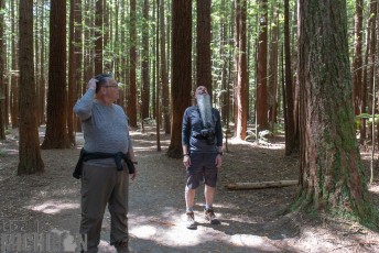 Travel-Ideas-North-Island-New-Zealand-78