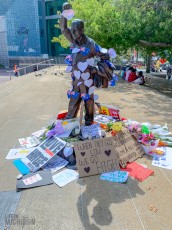 Travel-Ideas-North-Island-New-Zealand-96