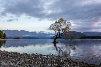 Travel-Ideas-South-Island-New-Zealand-18