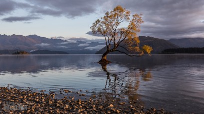 Travel-Ideas-South-Island-New-Zealand-23