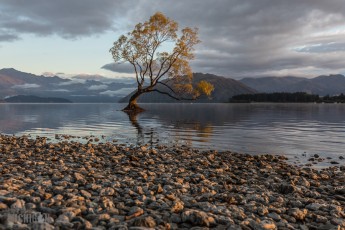 Travel-Ideas-South-Island-New-Zealand-24