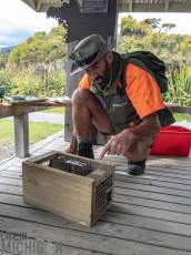 Travel-Ideas-South-Island-New-Zealand-52