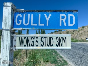 Travel-Ideas-South-Island-New-Zealand-74