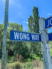 Travel-Ideas-South-Island-New-Zealand-75