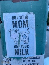 Travel-Ideas-South-Island-New-Zealand-78