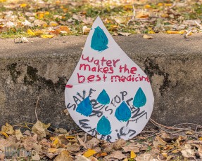 Water-Makes-The-Mitten-1