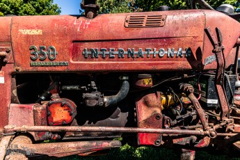 Waterloo-Farm-Museum-Antique-Tractor-Show-2023-22