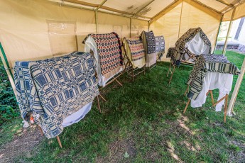 Waterloo-Farm-Museum-Antique-Tractor-Show-2023-44