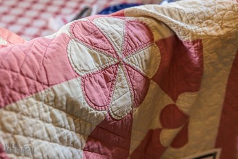 Waterloo-Farm-Museum-Antique-Tractor-Show-2023-58