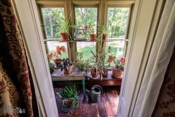Waterloo-Farm-Museum-Antique-Tractor-Show-2023-96
