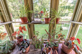 Waterloo-Farm-Museum-Antique-Tractor-Show-2023-97
