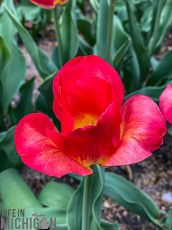 West-Michigan-Beer-Run-2021-130