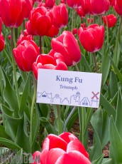 West-Michigan-Beer-Run-2021-133