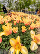 West-Michigan-Beer-Run-2021-135