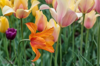 West-Michigan-Beer-Run-2021-94